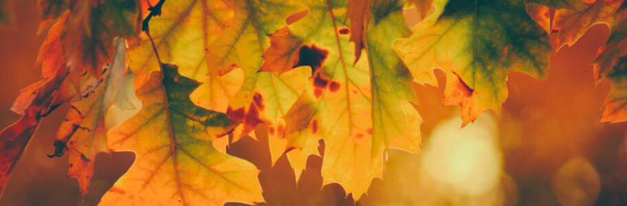 3 helpful ways to leverage seasonal content