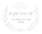 Best SEO Agencies in Miami 2024 — Expertise.com